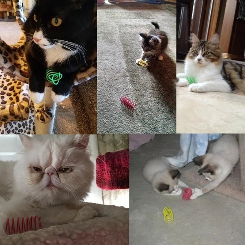 Muelles de colores para gatos — packs de 4 a 20