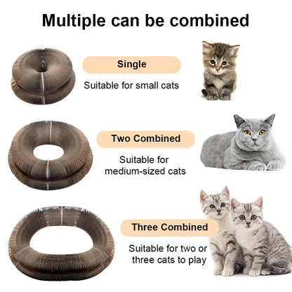 Rascador plegable de cartón para gatos con pelota