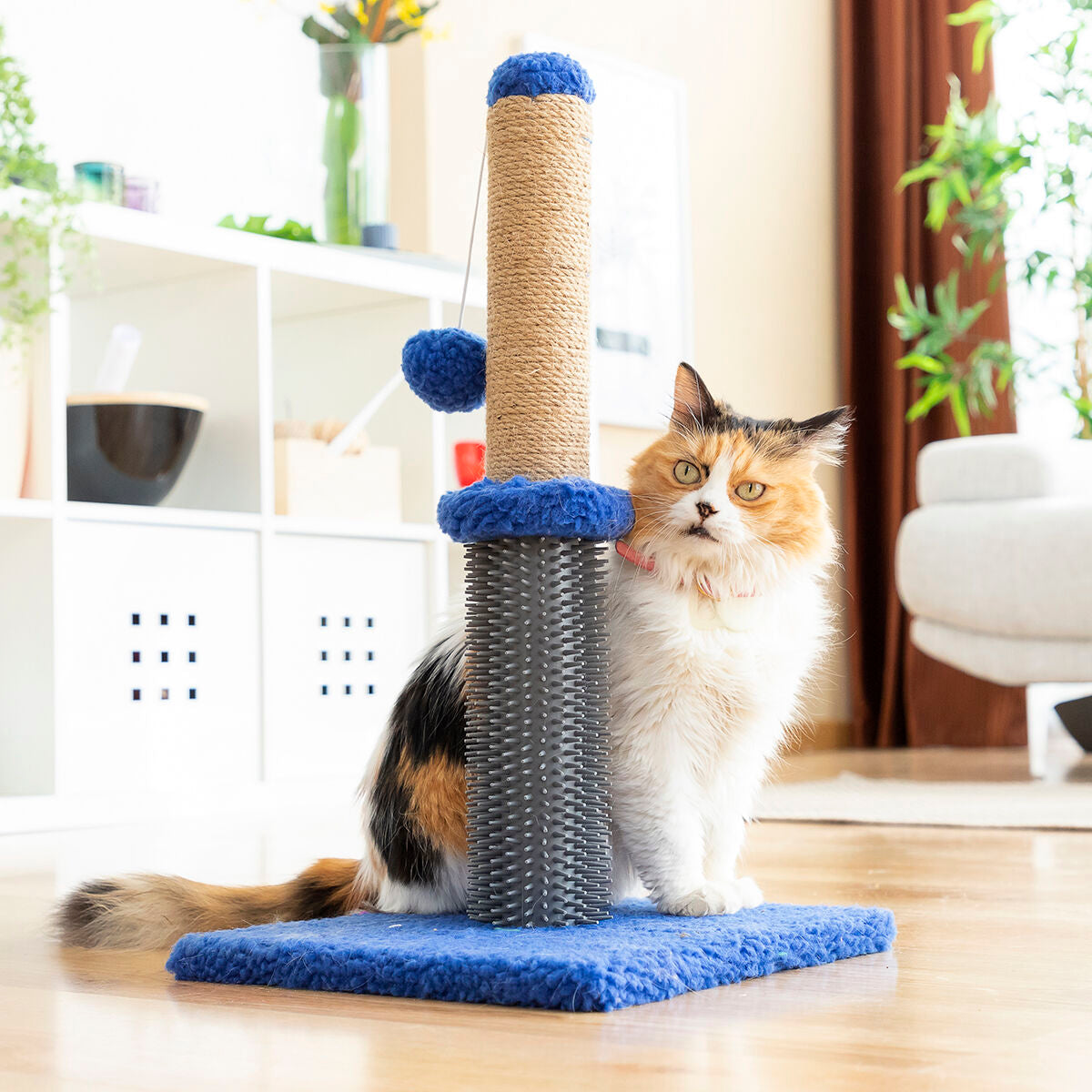 Rascador Miausage para gatos con poste de sisal, masajeador y pelota