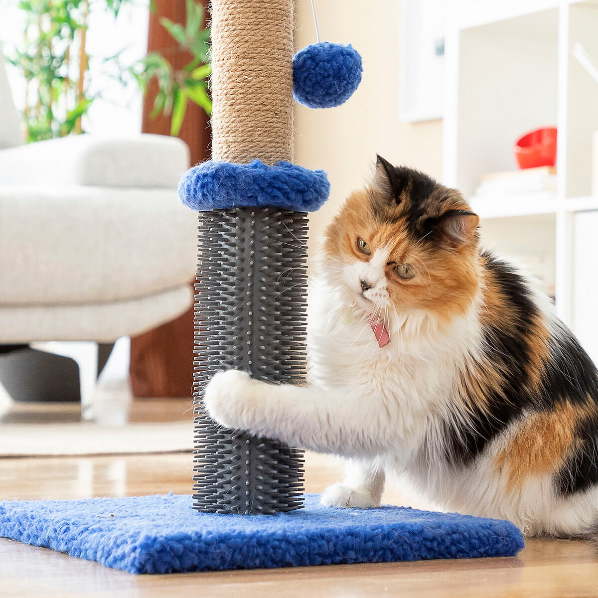 Rascador para gatos Miausage con masajeador y pelota