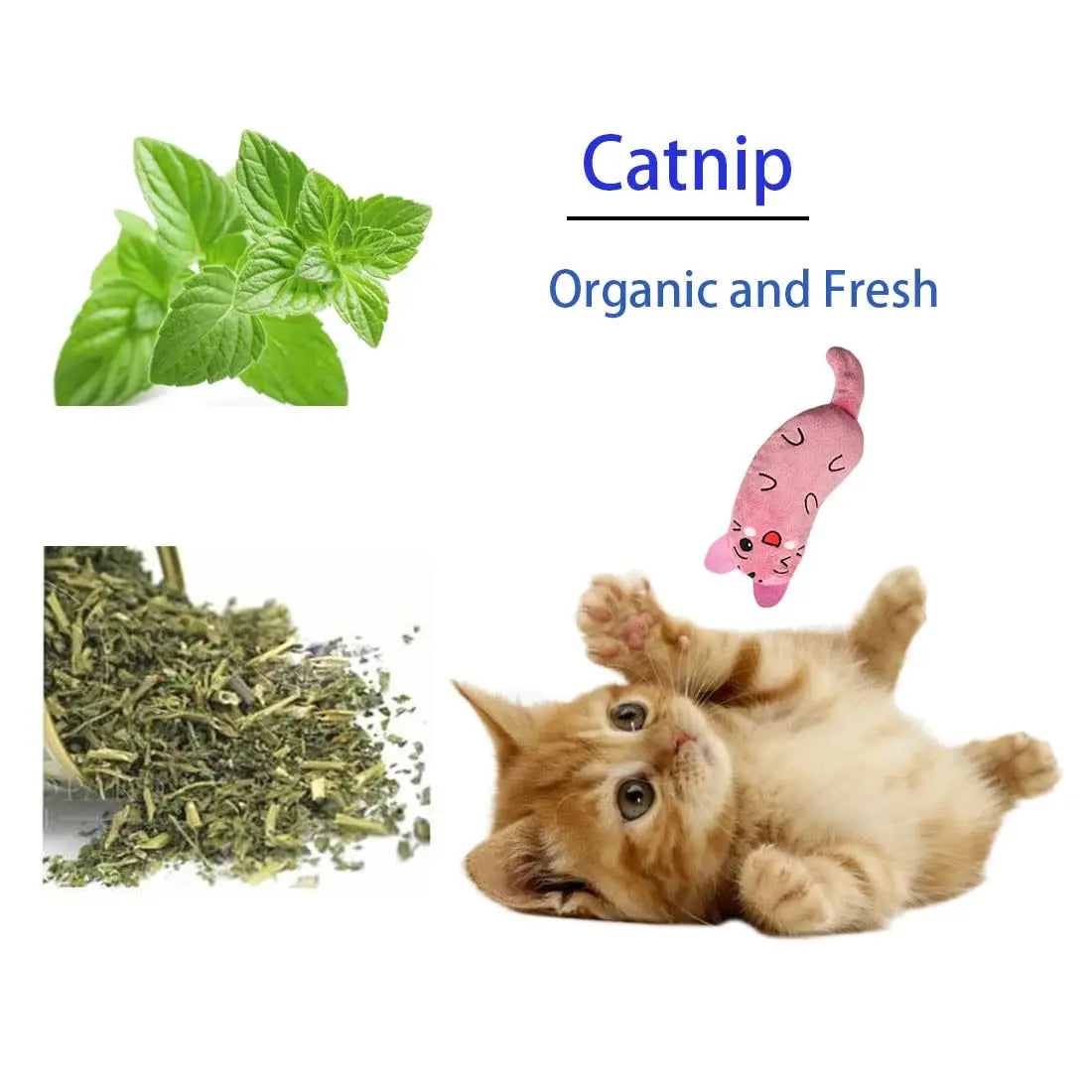 Ratón de peluche con catnip para gatos