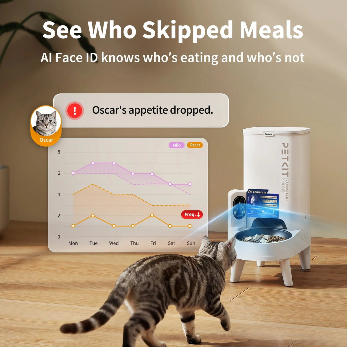 Comedero automático PETKIT YumShare Solo 2 — 3 L