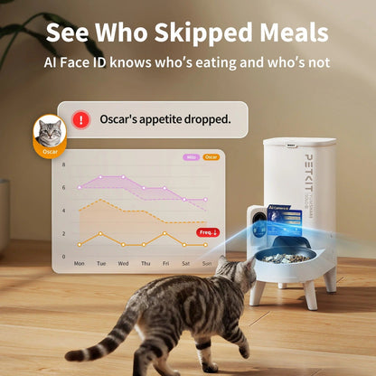 Comedero automático PETKIT YumShare Solo 2 — 3 L